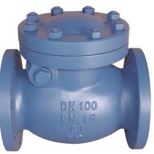 Check Valve LCV