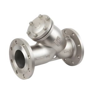 Flange Y-strainer